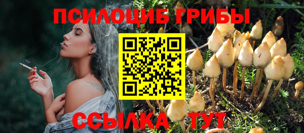 Псилоцибиновые грибы Magic Shrooms Серов