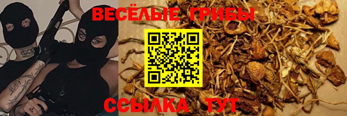  Кокаин Серов