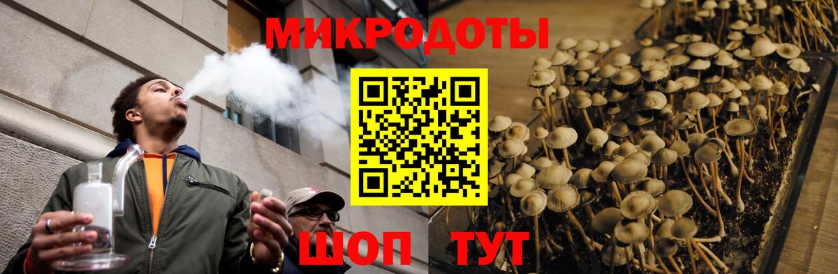 Псилоцибиновые грибы прущие грибы  Псилоцибиновые грибы GOLDEN TEACHER  Серов  Вход с VPN 